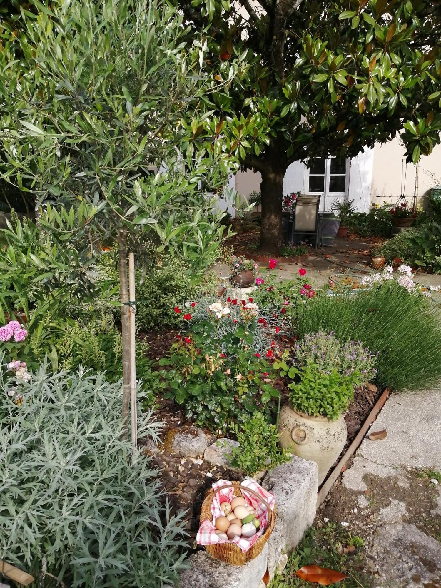 Au Logis De Vechillot Bed & Breakfast Angoulême Exterior foto