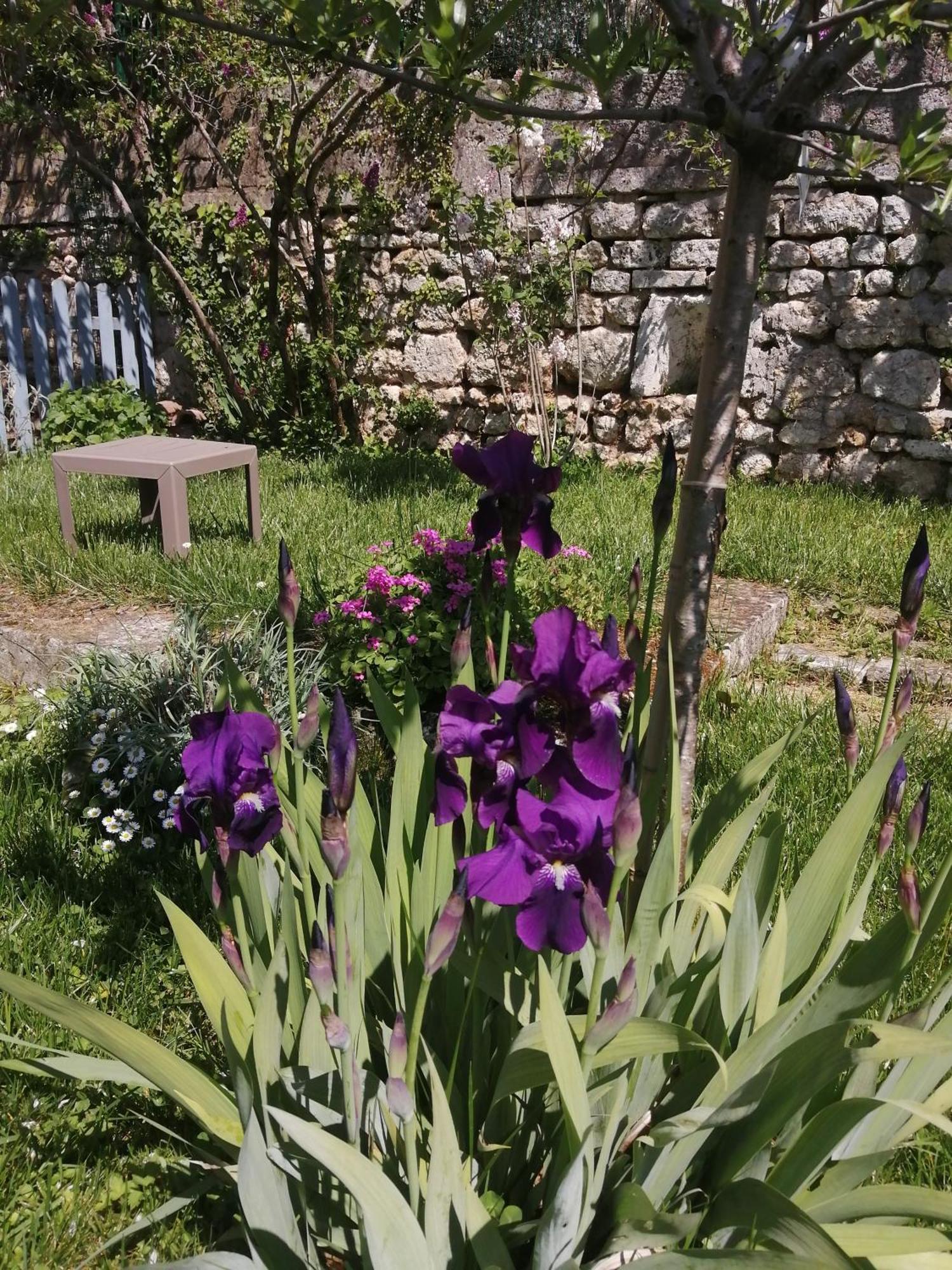 Au Logis De Vechillot Bed & Breakfast Angoulême Exterior foto